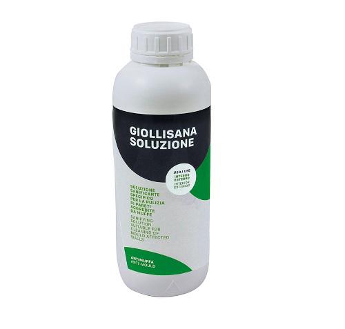 GIOLLISANA_SOLUZIONE_LT.1